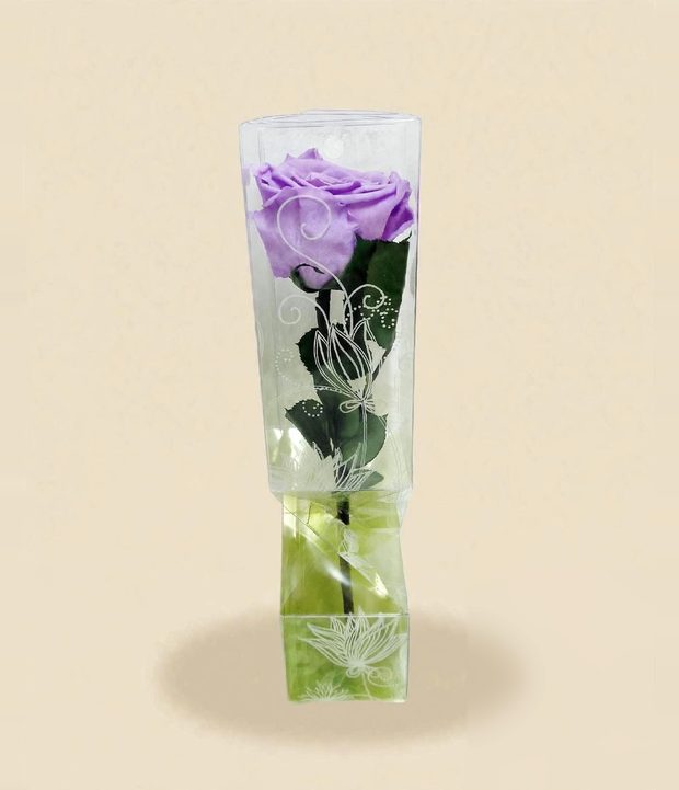 Rosa en tubo